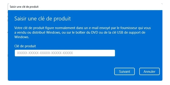Activer le Windows 11 sur un ordinateur non compatible